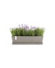 Rectangular planter Bruges 65 Taupe Renctangular bruges Rectangular planter Bruges 65 Taupe Renctangular bruges