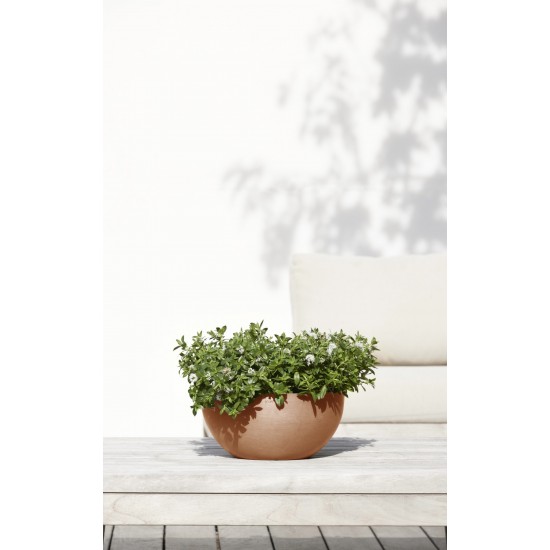 Round bowl pot Brussels 30 Terracotta Brussels pot Round bowl pot Brussels 30 Terracotta Brussels pot