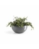 Round bowl pot Brussels 35 Grey Brussels pot Round bowl pot Brussels 35 Grey Brussels pot