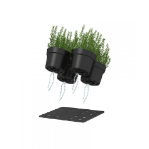 Herbs watering system 