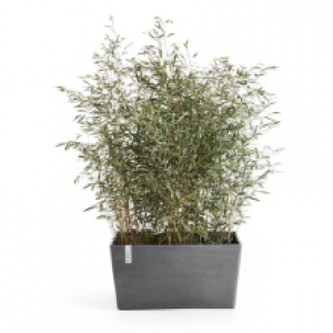 Large pots
