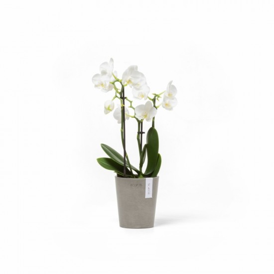 Morinda orchid pot 11 Taupe Small pots