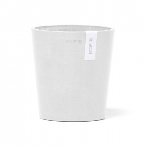 Morinda orchid pot 14 Pure White