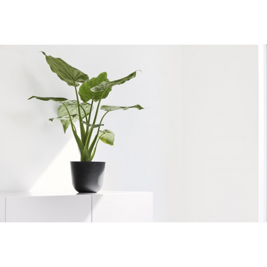 Γλαστράκι Oslo Mini 16 Dark Grey Στρογγυλές γλάστρες Γλαστράκι Oslo Mini 16 Dark Grey Στρογγυλές γλάστρες