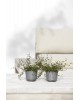 Oslo Mini small pot 8 Grey Small pots