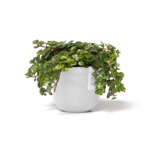 Oslo Mini small pot 11 Pure White