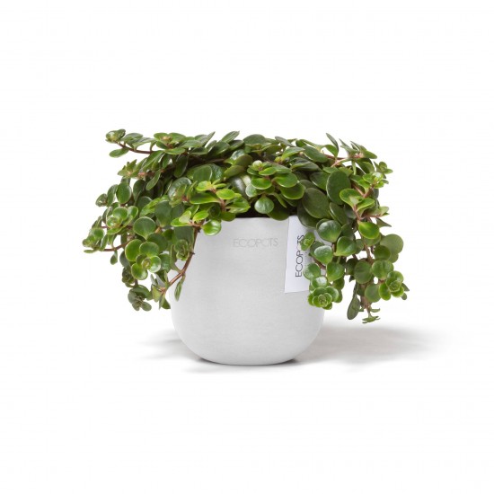 Γλαστράκι Oslo Mini 11 Pure White Μικρές γλάστρες Γλαστράκι Oslo Mini 11 Pure White Μικρές γλάστρες