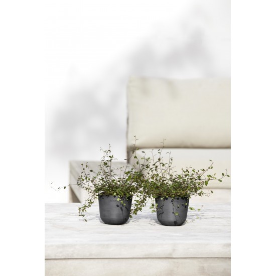 Oslo Mini small pot 11 Dark Grey Round pots Oslo Mini small pot 11 Dark Grey Round pots
