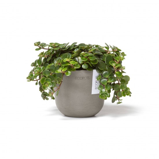 Oslo Mini small pot 11 Taupe Small pots