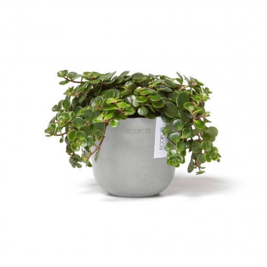 Oslo Mini small pot 11 White Grey Small pots