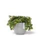 Oslo Mini small pot 11 White Grey Small pots