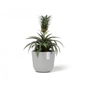 Oslo Mini small pot 16 White Grey