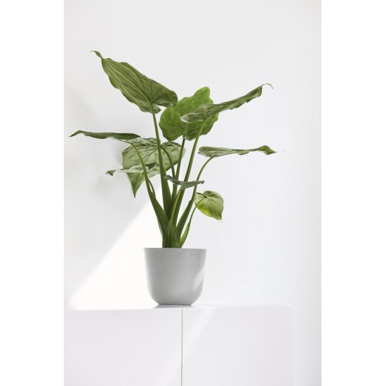 Oslo Mini small pot 19 White Grey Small pot oslo mini Oslo Mini small pot 19 White Grey Small pot oslo mini