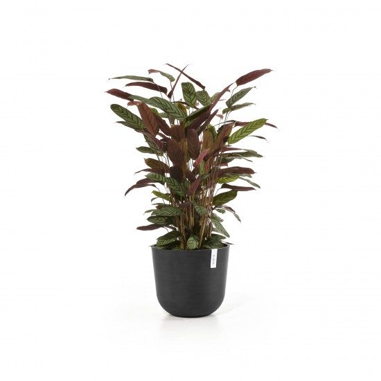Oslo round pot 35 Dark Grey Oslo pot Oslo round pot 35 Dark Grey Oslo pot