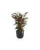 Oslo round pot 35 Dark Grey Oslo pot Oslo round pot 35 Dark Grey Oslo pot
