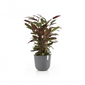 Oslo round pot 35 Grey
