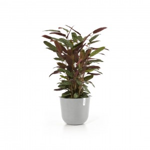 Oslo round pot 35 White Grey