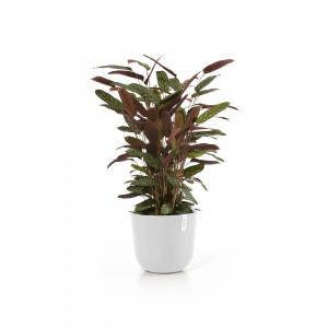 Oslo round pot 35 Pure White