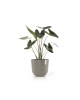 Oslo round pot 45 Taupe Oslo pot Oslo round pot 45 Taupe Oslo pot