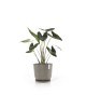 Oslo round pot 45 Taupe Oslo pot Oslo round pot 45 Taupe Oslo pot
