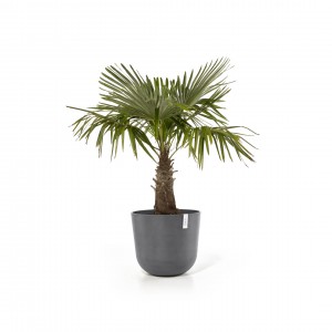 Oslo round pot 55 Grey