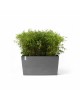 Big planter Paris Wheels 100 Grey Rectangular paris wheels