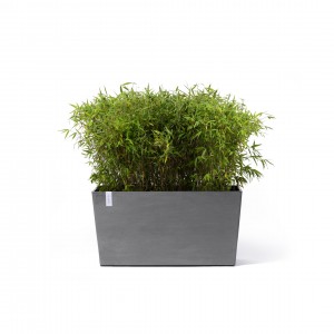 Big planter Paris Wheels 100 Grey
