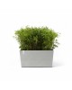 Big planter Paris Wheels 100 White Grey Rectangular paris wheels