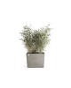 Big planter Paris Wheels 85 Taupe Rectangular paris wheels Big planter Paris Wheels 85 Taupe Rectangular paris wheels