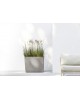 Big planter Paris Wheels 85 Taupe Rectangular paris wheels Big planter Paris Wheels 85 Taupe Rectangular paris wheels