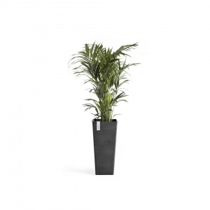 Rotterdam High pot  70 Dark Grey