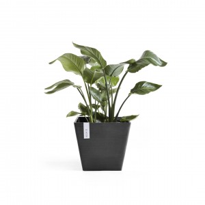Rotterdam square pot 30 Dark Grey