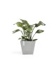Rotterdam square pot 30 White Grey Rotterdam pot Rotterdam square pot 30 White Grey Rotterdam pot