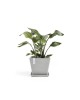 Rotterdam square pot 30 White Grey Rotterdam pot Rotterdam square pot 30 White Grey Rotterdam pot
