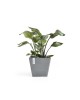 Rotterdam square pot 30 Blue Grey Rotterdam pot Rotterdam square pot 30 Blue Grey Rotterdam pot