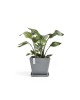 Rotterdam square pot 30 Blue Grey Rotterdam pot Rotterdam square pot 30 Blue Grey Rotterdam pot