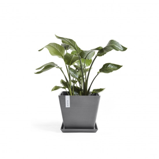 Rotterdam square pot 40 Grey Rotterdam pot Rotterdam square pot 40 Grey Rotterdam pot