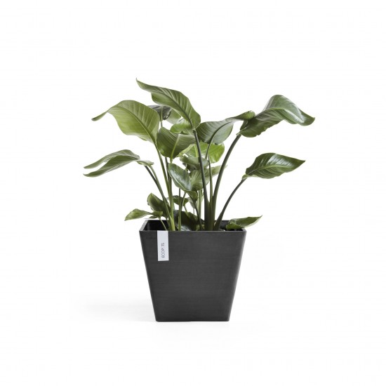 Rotterdam square pot 40 Dark Grey Rotterdam pot Rotterdam square pot 40 Dark Grey Rotterdam pot