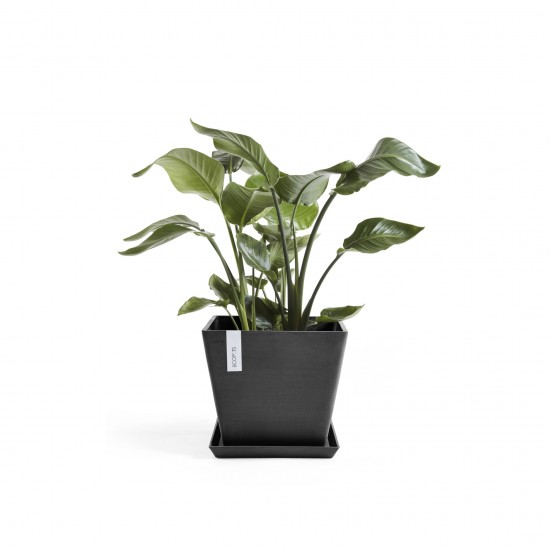 Rotterdam square pot 40 Dark Grey Rotterdam pot Rotterdam square pot 40 Dark Grey Rotterdam pot
