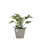 Rotterdam square pot 40 Taupe Rotterdam pot Rotterdam square pot 40 Taupe Rotterdam pot