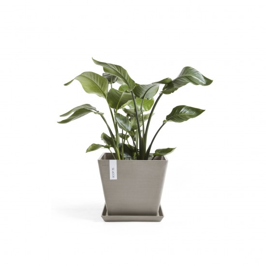 Rotterdam square pot 40 Taupe Rotterdam pot Rotterdam square pot 40 Taupe Rotterdam pot