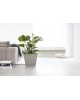 Rotterdam square pot 40 Taupe Rotterdam pot Rotterdam square pot 40 Taupe Rotterdam pot