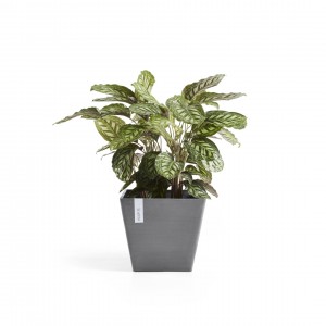 Rotterdam square pot 50 Grey