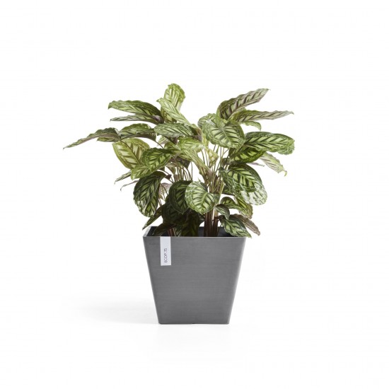 Rotterdam square pot 50 Grey Rotterdam pot Rotterdam square pot 50 Grey Rotterdam pot
