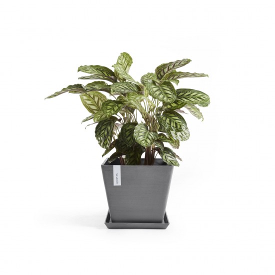 Rotterdam square pot 50 Grey Rotterdam pot Rotterdam square pot 50 Grey Rotterdam pot