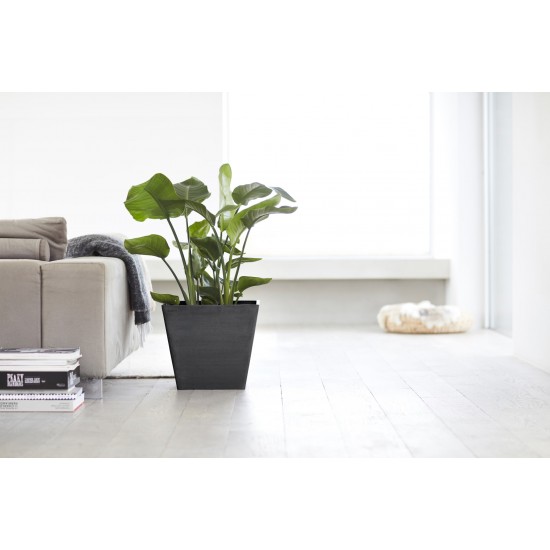 Rotterdam square pot 50 Dark Grey Rotterdam pot Rotterdam square pot 50 Dark Grey Rotterdam pot