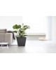 Rotterdam square pot 50 Dark Grey Rotterdam pot Rotterdam square pot 50 Dark Grey Rotterdam pot