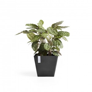 Rotterdam square pot 50 Dark Grey