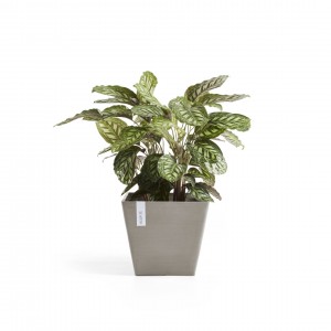 Rotterdam square pot 50 Taupe