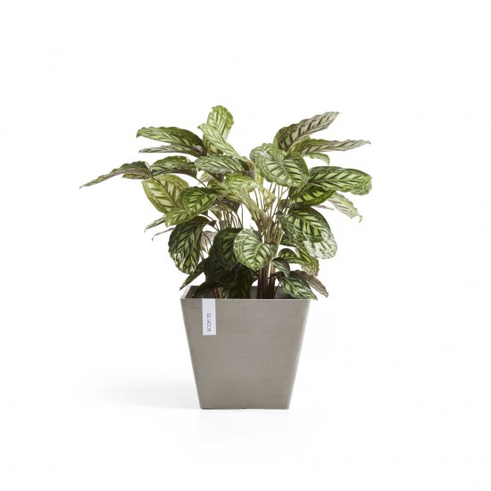 Rotterdam square pot 50 Taupe Rotterdam pot Rotterdam square pot 50 Taupe Rotterdam pot